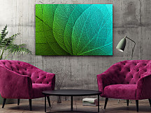 Obraz Štruktúra listu 